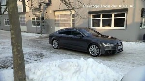 Audi_samo parkujące